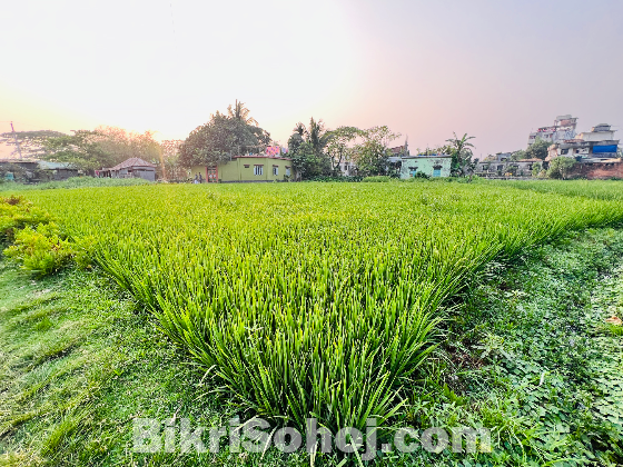 ২ কাঠা জমি 01737136107